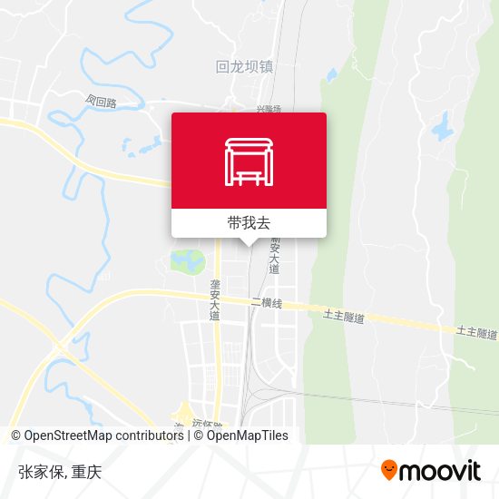 张家保地图