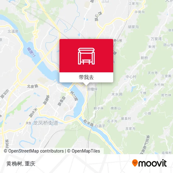 黄桷树地图