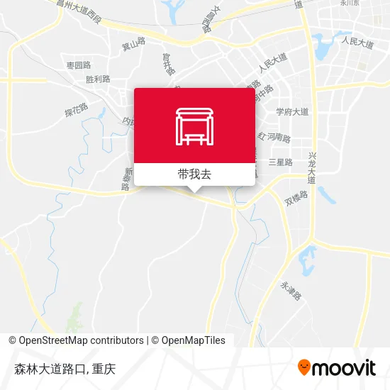 森林大道路口地图