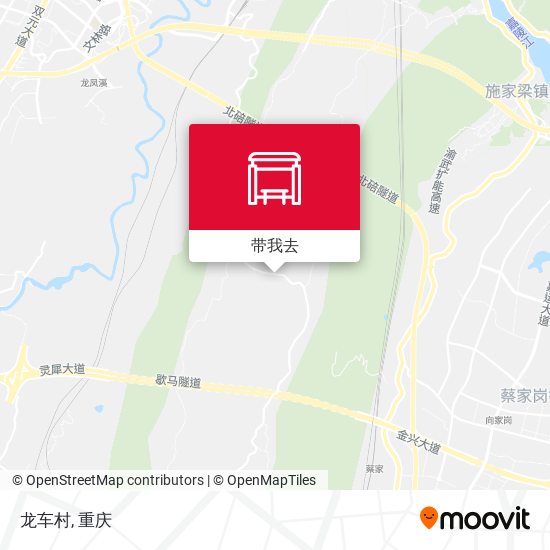 龙车村地图