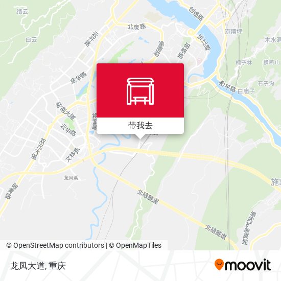 龙凤大道地图