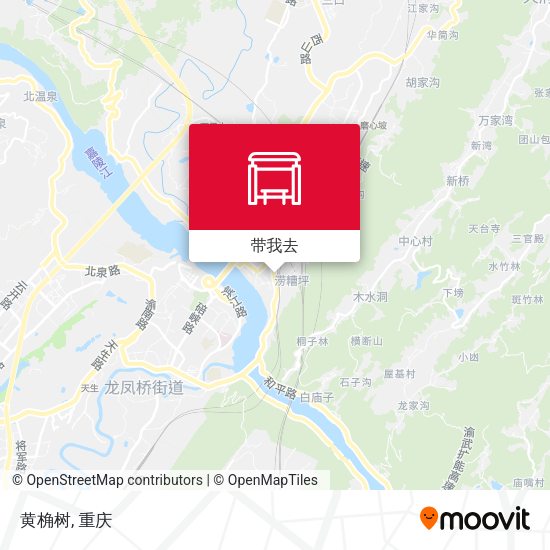 黄桷树地图
