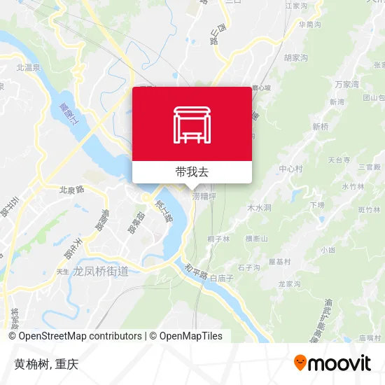 黄桷树地图