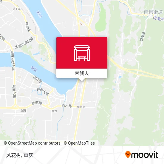 风花树地图