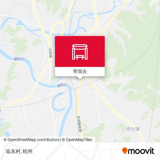 临东村地图