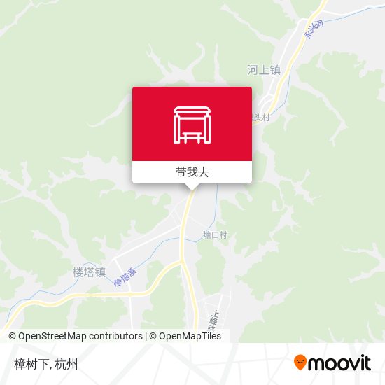樟树下地图