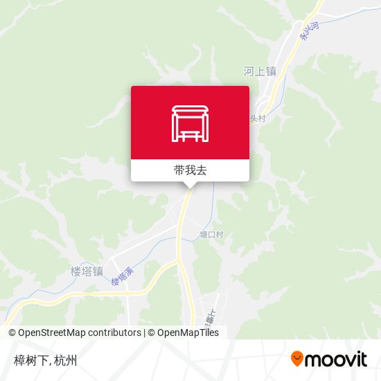 樟树下地图