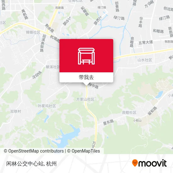 闲林公交中心站地图