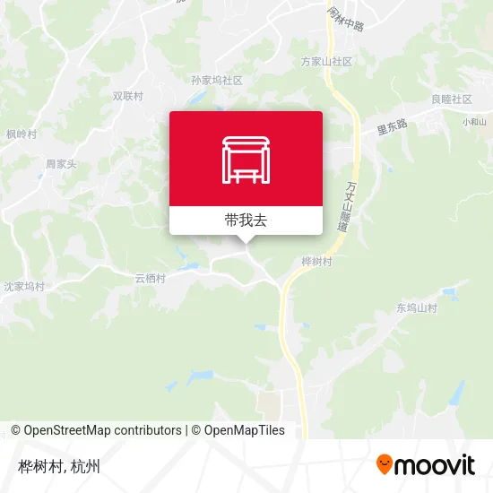 桦树村地图