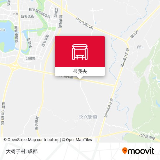 大树子村地图