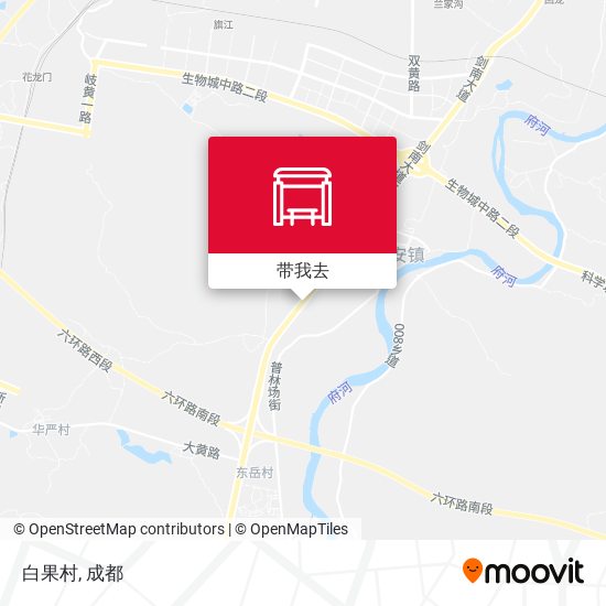 白果村地图