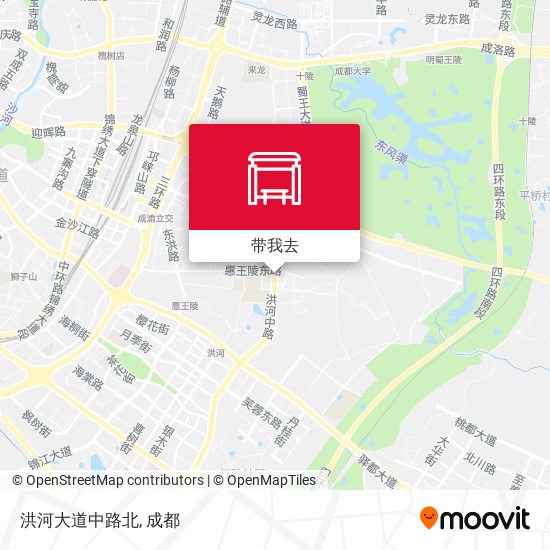 洪河大道中路北地图