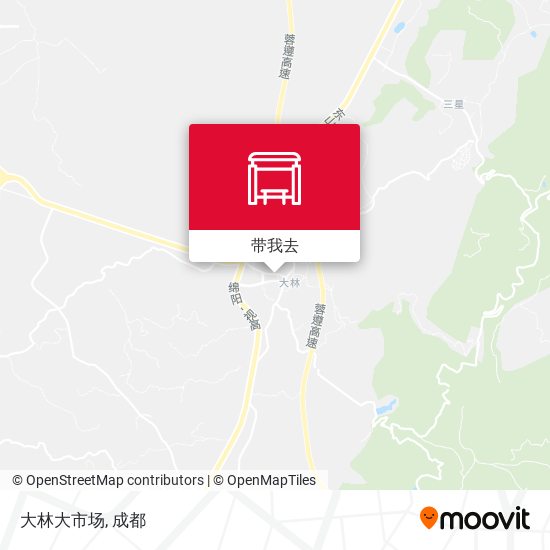 大林大市场地图