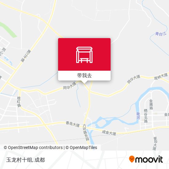 玉龙村十组地图
