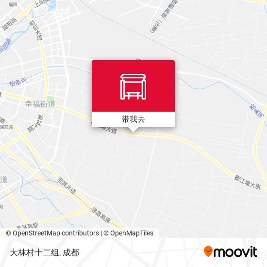 大林村十二组地图