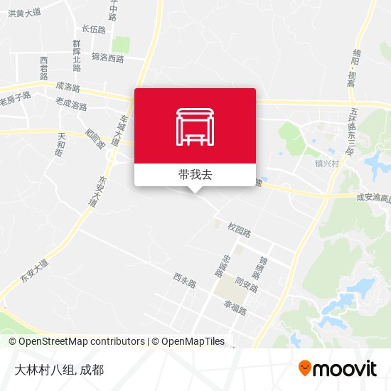 大林村八组地图