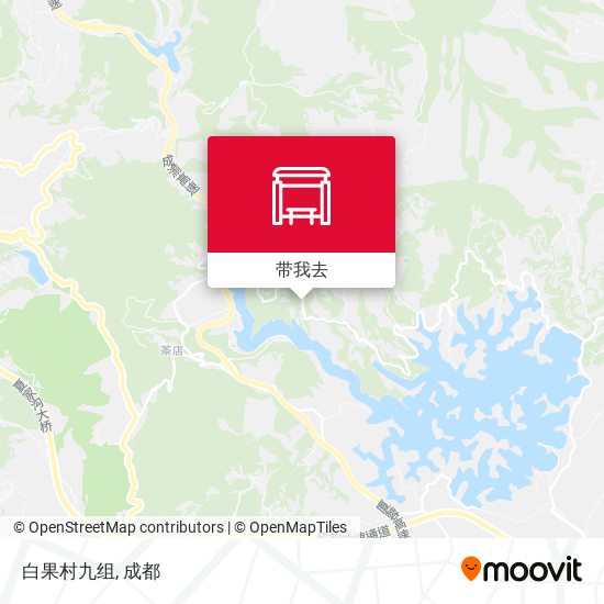 白果村九组地图