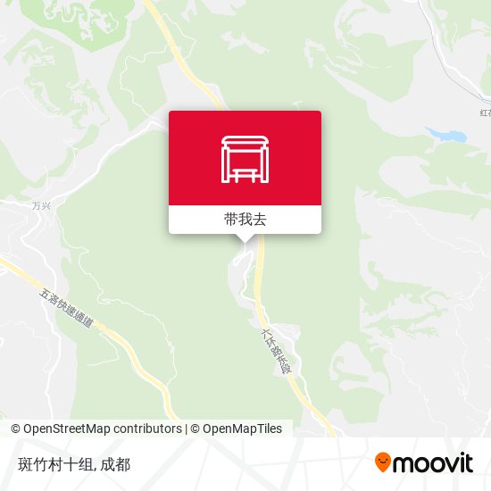 斑竹村十组地图