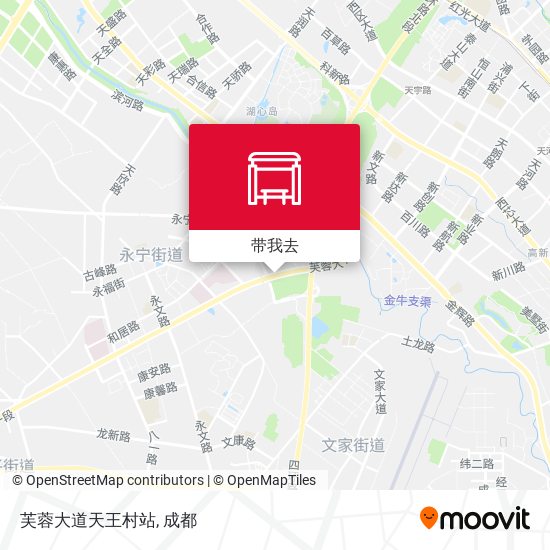 芙蓉大道天王村站地图