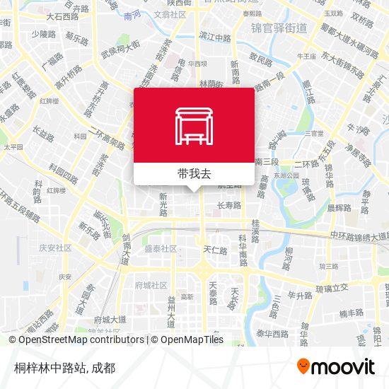 桐梓林中路站地图