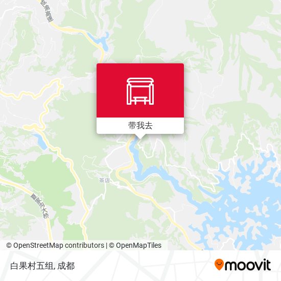 白果村五组地图