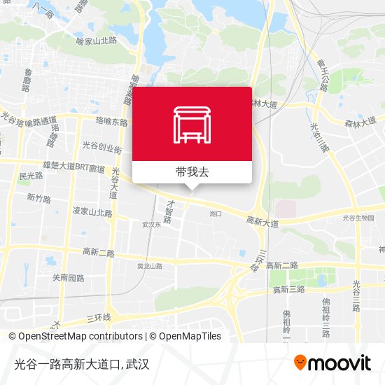 光谷一路高新大道口地图