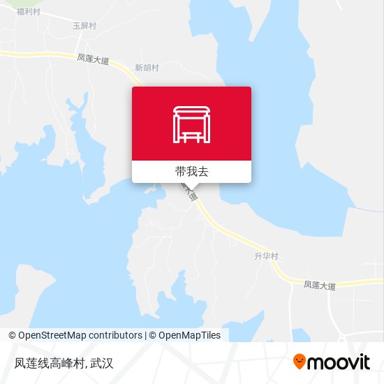 凤莲线高峰村地图