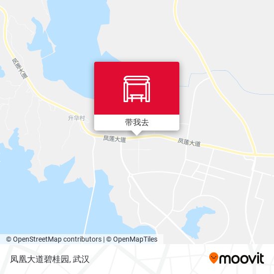 凤凰大道碧桂园地图