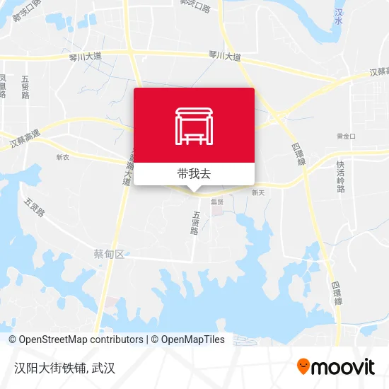 汉阳大街铁铺地图