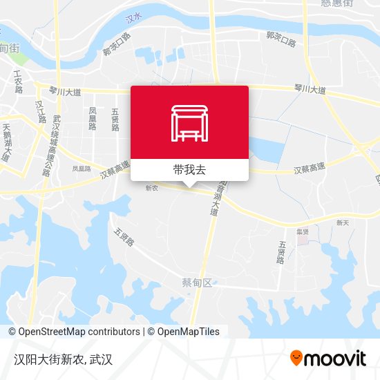 汉阳大街新农地图