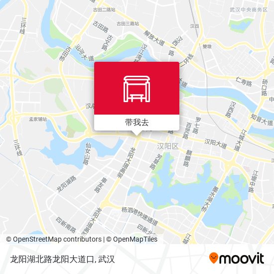 龙阳湖北路龙阳大道口地图