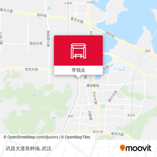武昌大道良种场地图