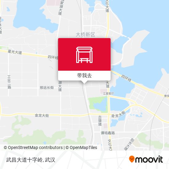 武昌大道十字岭地图
