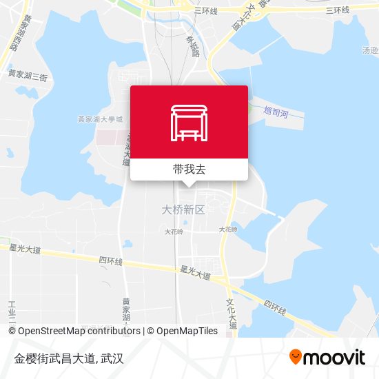 金樱街武昌大道地图