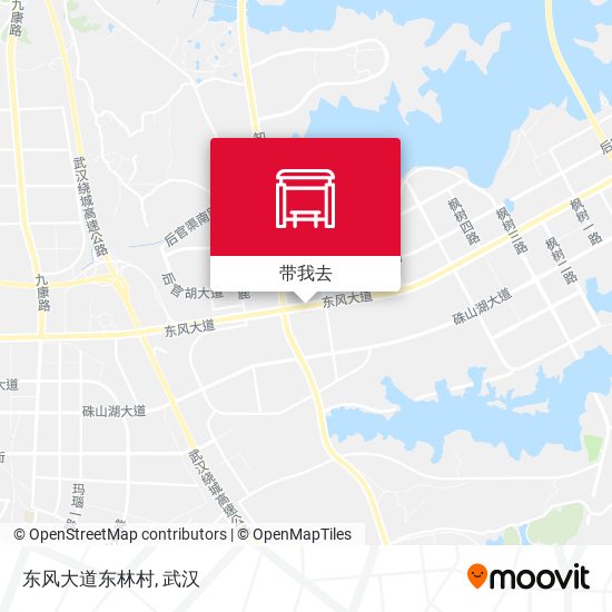 东风大道东林村地图