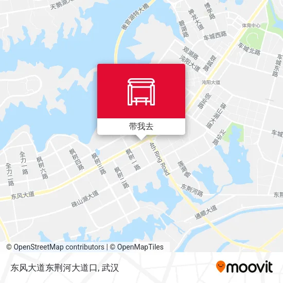 东风大道东荆河大道口地图