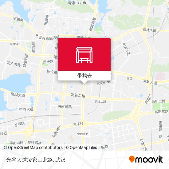 光谷大道凌家山北路地图