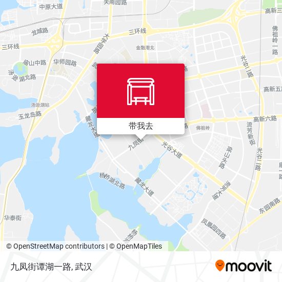 九凤街谭湖一路地图