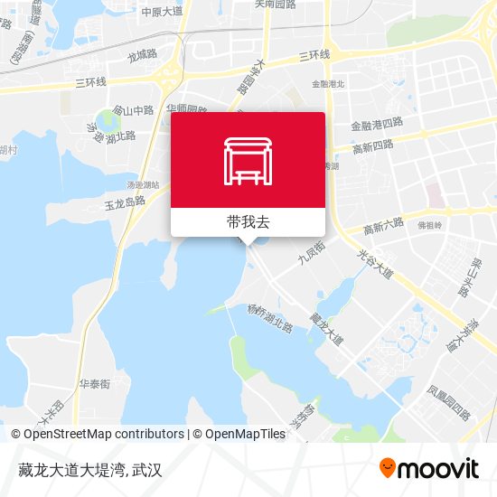 藏龙大道大堤湾地图