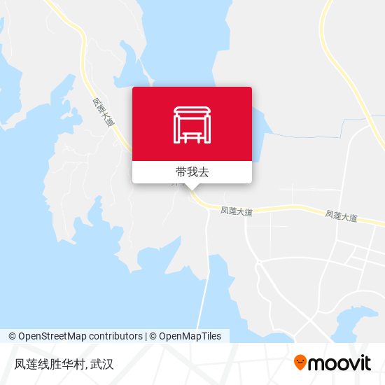 凤莲线胜华村地图