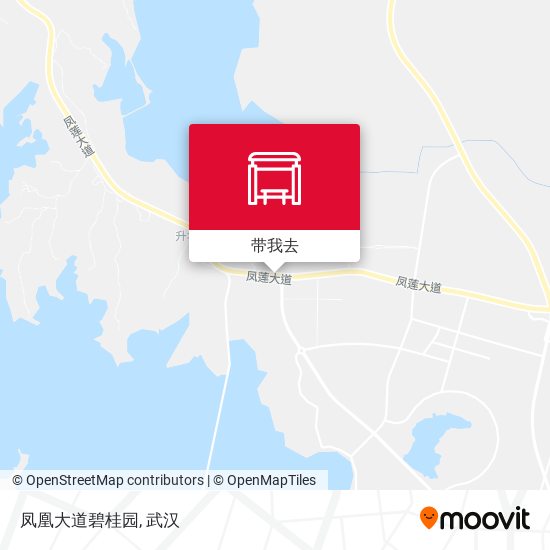 凤凰大道碧桂园地图