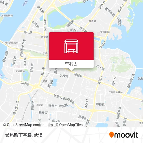 武珞路丁字桥地图