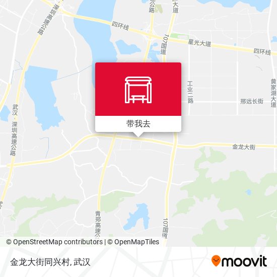 金龙大街同兴村地图