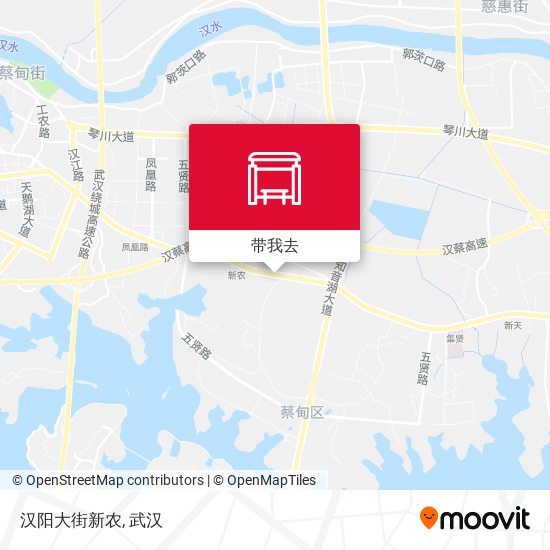 汉阳大街新农地图