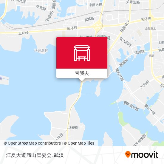 江夏大道庙山管委会地图