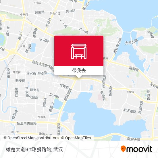 雄楚大道Brt珞狮路站地图