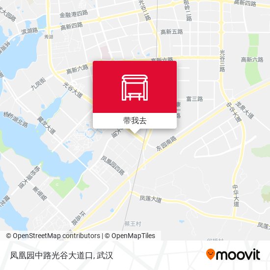 凤凰园中路光谷大道口地图