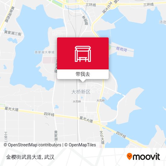金樱街武昌大道地图