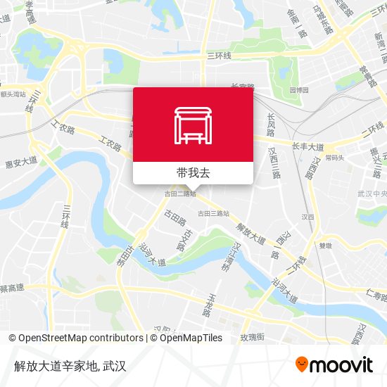 解放大道辛家地地图
