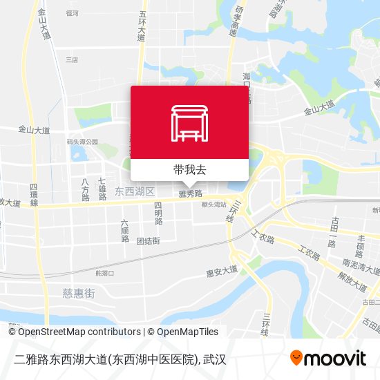 二雅路东西湖大道(东西湖中医医院)地图